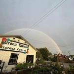 Green Thumb Landscaping & Garden Center, INC