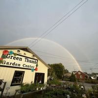 Green Thumb Landscaping & Garden Center, INC ico