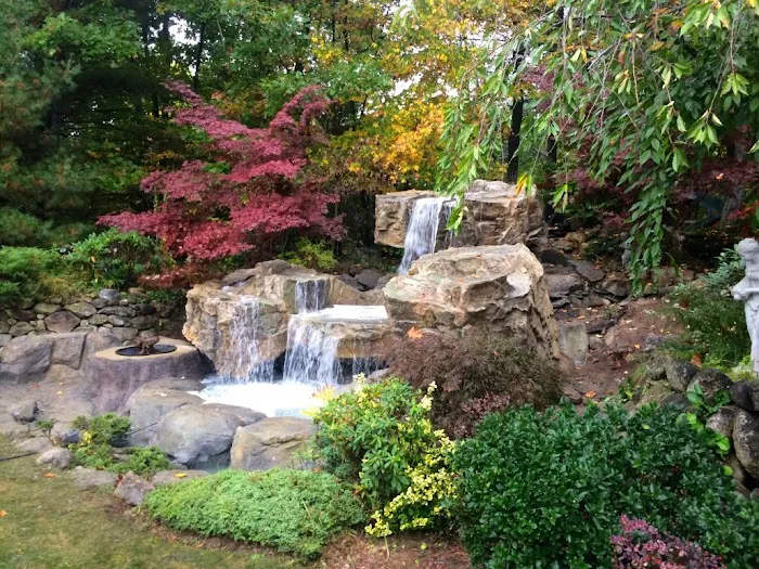 Contemporary Landscape Design Picture 4
