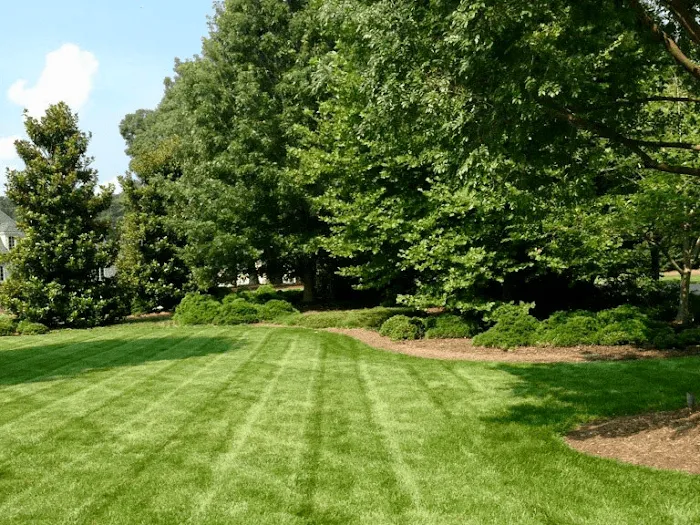 TNT Lawncare & Landscape Picture 1