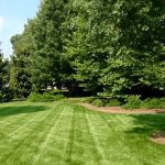 TNT Lawncare & Landscape