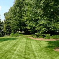 TNT Lawncare & Landscape ico