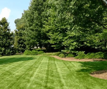 TNT Lawncare & Landscape