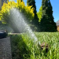 Sprinklers Plus ico