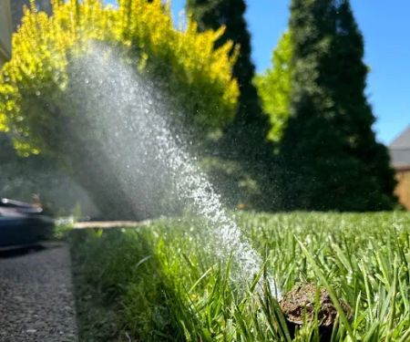 Sprinklers Plus