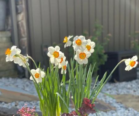 D&M Superior Yard Solutions, LLC