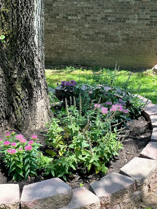 D&M Superior Yard Solutions, LLC Picture 10