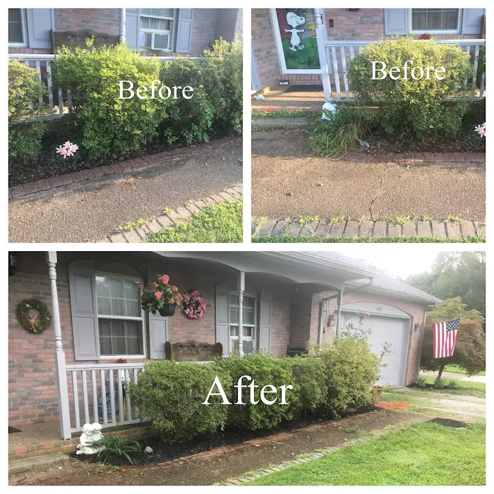 Vaughn's Lawn Plus LLC Picture 2