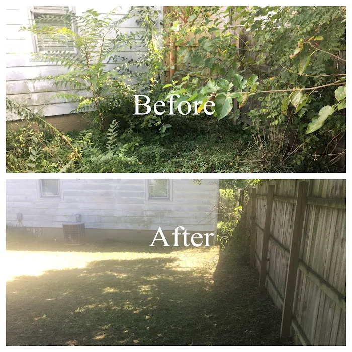 Vaughn's Lawn Plus LLC Picture 8