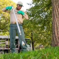 TruGreen Lawn Care ico