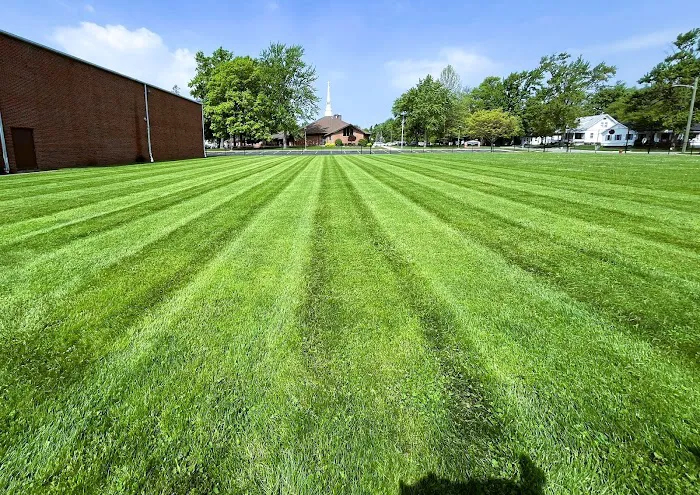 Evansville Lawn & Landscape Picture 4