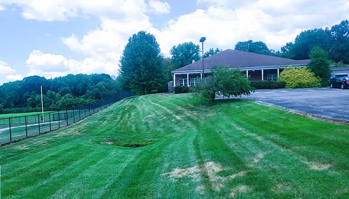 Evansville Lawn & Landscape Picture 9
