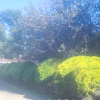 Evansville Lawn & Landscape ico