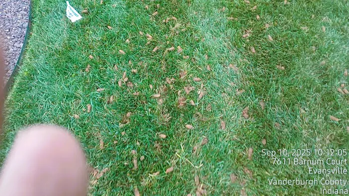 Evansville Lawn & Landscape Picture 10