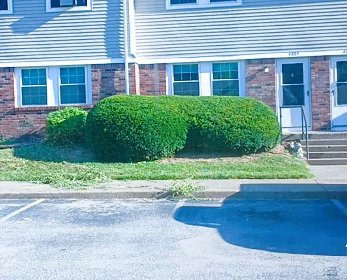 Evansville Lawn & Landscape Picture 7