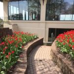 Paulin's Landscaping