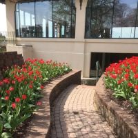 Paulin's Landscaping ico