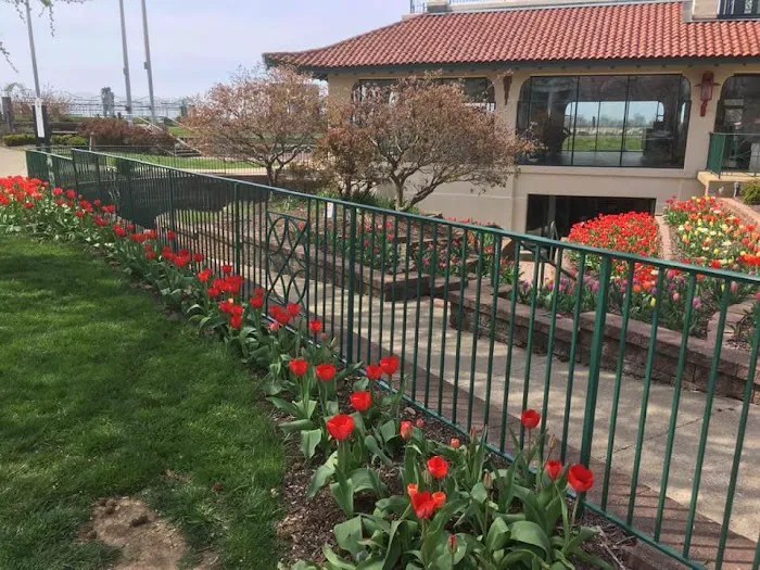 Paulin's Landscaping Picture 2