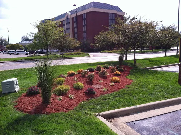 Daily Lawn & Landscape Picture 8