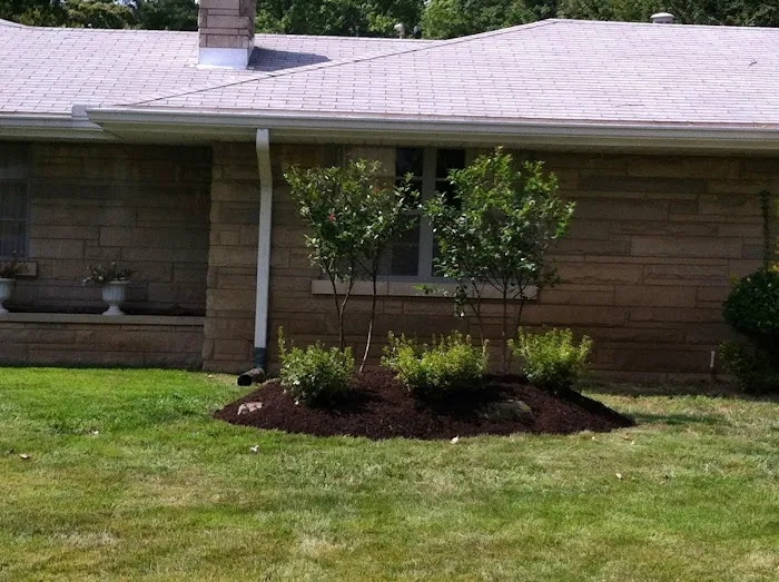Daily Lawn & Landscape Picture 7