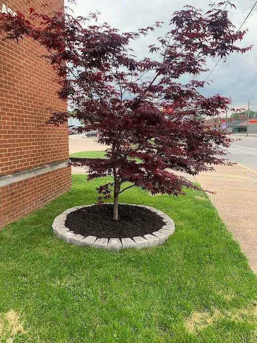 Midwestern Outdoor Services Picture 8