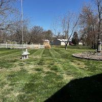 Collins Lawn Care ico