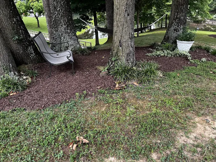 Collins Lawn Care Picture 8