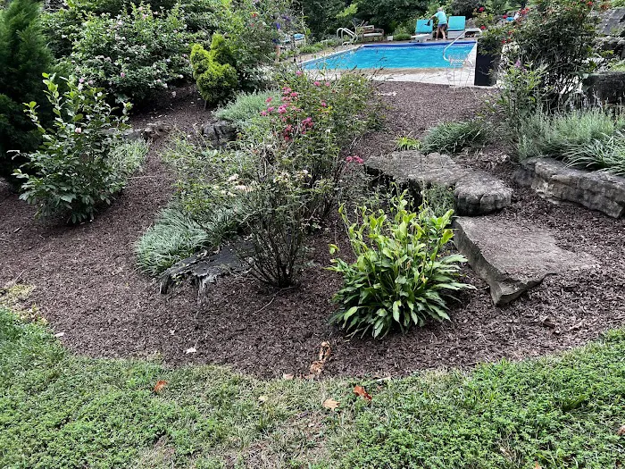 Collins Lawn Care Picture 5