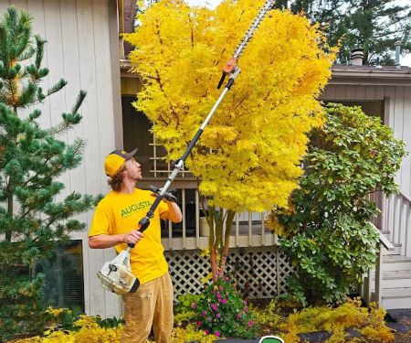 Augusta Lawn Care of Newburgh
