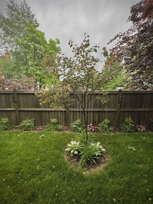 Complete Lawn Care of Newburgh LLC Picture 1