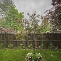 Complete Lawn Care of Newburgh LLC ico