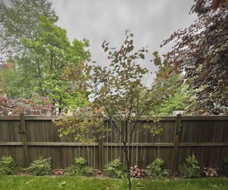 Complete Lawn Care of Newburgh LLC