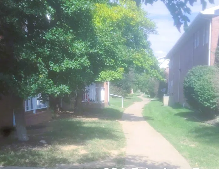 Evansville Lawn & Landscape Picture 9