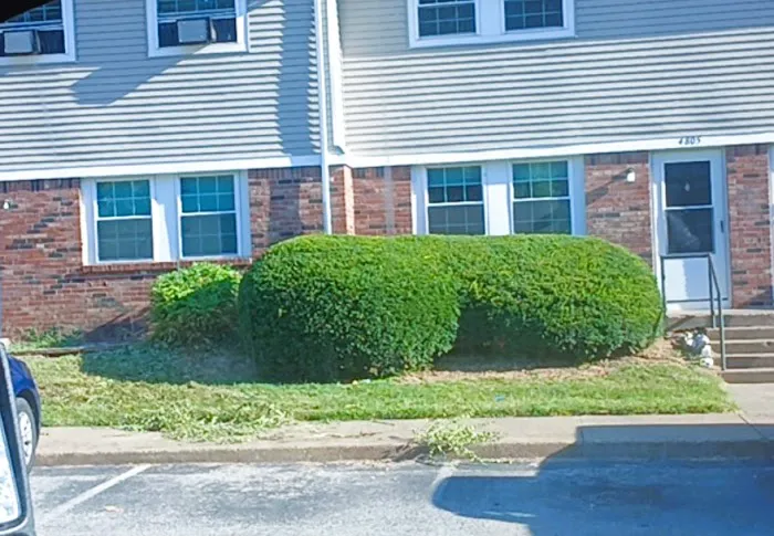 Evansville Lawn & Landscape Picture 5
