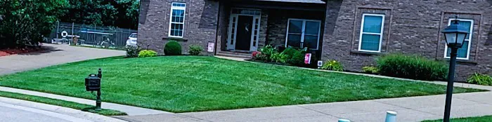 Evansville Lawn & Landscape Picture 6