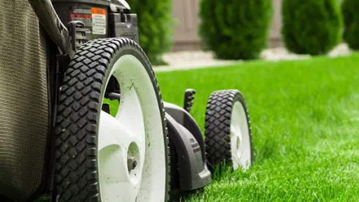 Hofmann Landscaping Picture 1