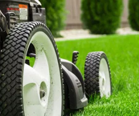 Hofmann Landscaping