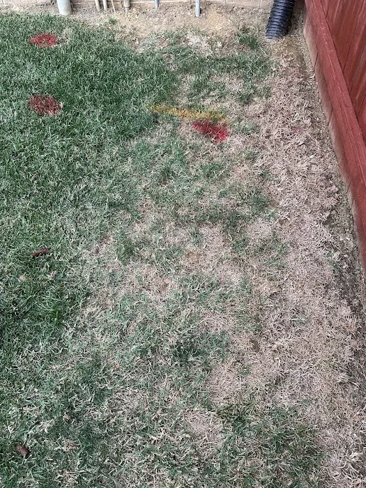 Weed Man Lawn Care Picture 2