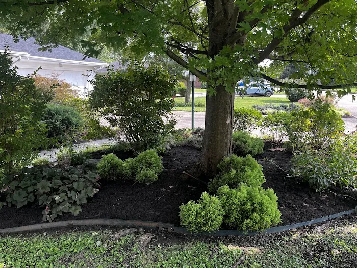 TopGrass Lawn Care Picture 7