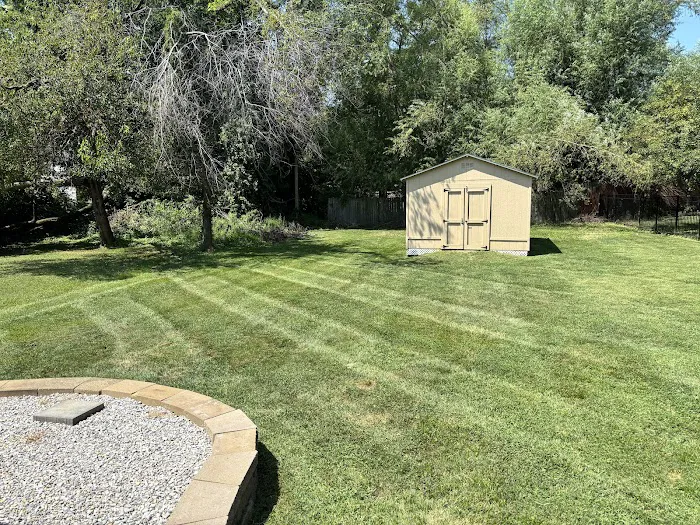 TopGrass Lawn Care Picture 6