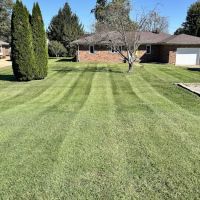 TopGrass Lawn Care ico