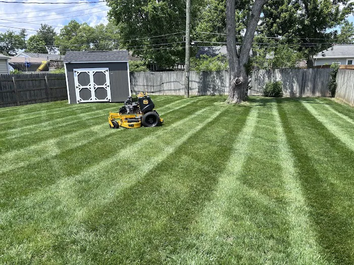 TopGrass Lawn Care Picture 4