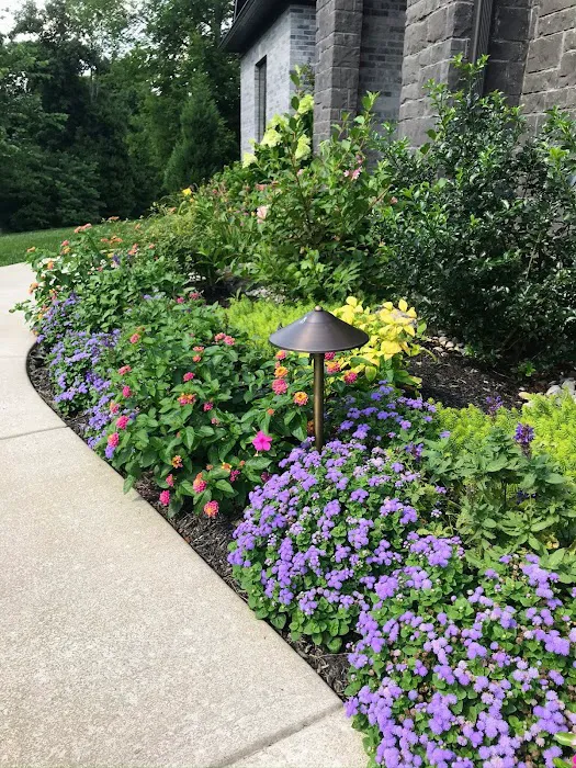Vivid Landscape & Lighting LLC Picture 7