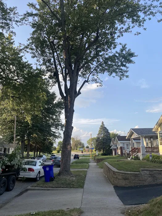 BDE Tree and Lawn Picture 4