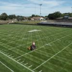 BDE Tree and Lawn