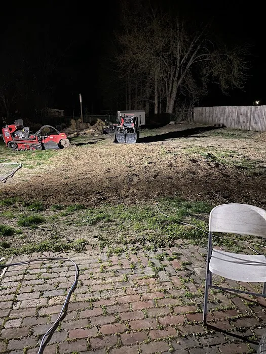 BDE Tree and Lawn Picture 8