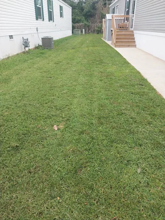 Oller & Sons landscaping Picture 2