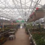 Wedel's Nursery, Florist and Garden Center