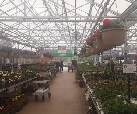 Wedel's Nursery, Florist and Garden Center