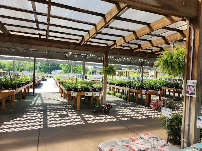 Wedel's Nursery, Florist and Garden Center Picture 8